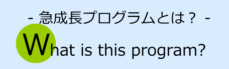 急成長プログラムとは？