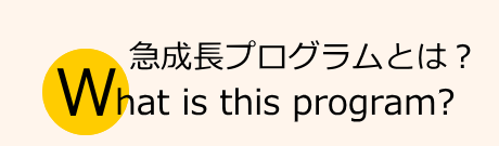 急成長プログラムとは?